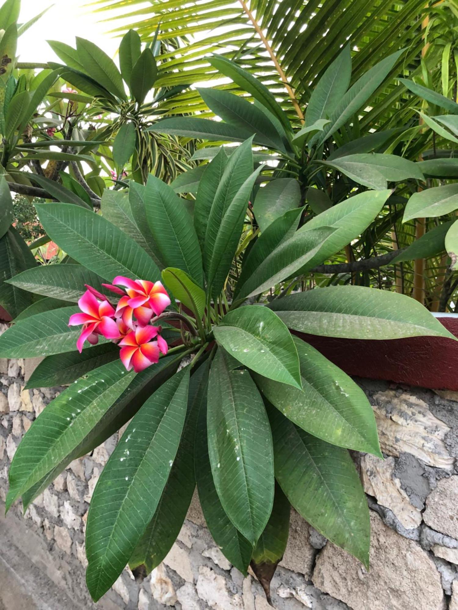 Maha Di Nusa Lembongan Екстер'єр фото